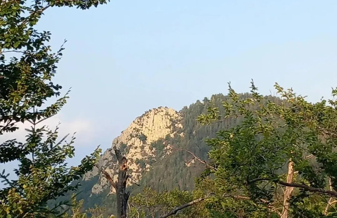 Mas Vilar, Relax, Nature And Slow Exclusive Only 6 Rooms-1