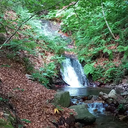 Mas Vilar, Relax, Nature And Slow Exclusive Only 6 Rooms-2